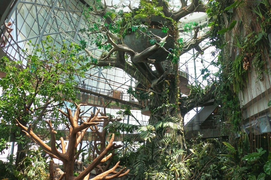 The Green Planet Dubai
